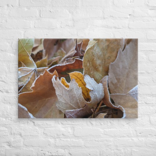 Landscape canvas wall - landscape,